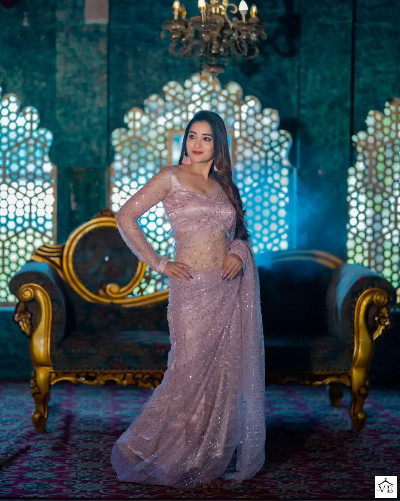 VE BT-3060 Butterfly Soft Net Wholesale Saree - Image 5