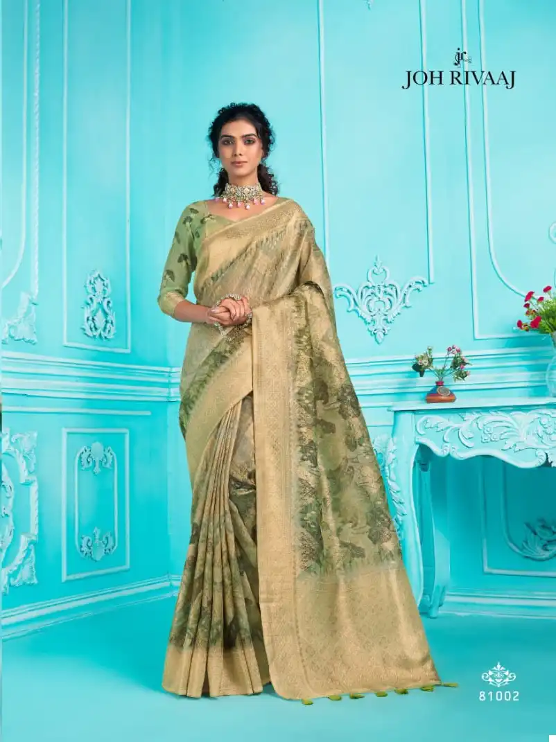 Joh Rivaaj Jarosa Organza Wholesale Fancy Sarees - Image 9