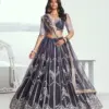 Narayani Fashion Chandrakala Vol-01 Wholesale Lehenga Collection