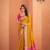Rajpath Vrundavan Silk Wholesale Patola Saree Collection