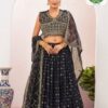 CHANSI TRENDZ 33 Series Jacquard Dola Silk Lehenga Choli Collection