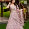 Chansi Trendz F-113 Butterfly Net Embroidery Lehenga Choli Catalog