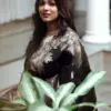 KP-R CREATION KP-R 199 Soft Lichi Silk Saree Catalog