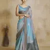 RajPath Fabrics Watermelon Silk Saree Collection